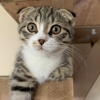 Фотография Лариса Бурмас Портрет фотографа (аватар) Лариса Бурмас