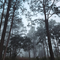 Портрет фотографа (аватар) scorpion