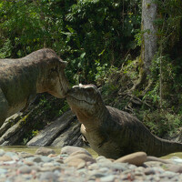 Портрет фотографа (аватар) Ben Simulator