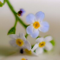 Портрет фотографа (аватар) Юлия