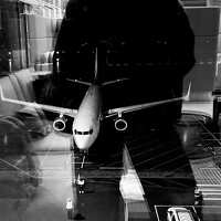 Портрет фотографа (аватар) Irina Shapieva