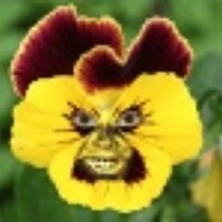 Портрет фотографа (аватар) Zoran Lex