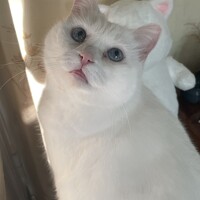 Анна Беднякова