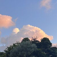 Портрет фотографа (аватар) Mizza.