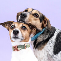 Портрет фотографа (аватар) Karoline Palme