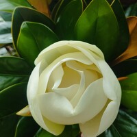 Портрет фотографа (аватар) Наталья Билай (Natalya Bilay)