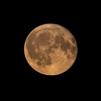 Портрет фотографа (аватар) Alexey Birin