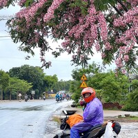 Портрет фотографа (аватар) Hải Trần (tran dinh hai)