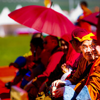 Портрет фотографа (аватар) Анар Мөнхбаатар (Анар)