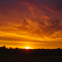 Фотография Константин Бородулин (Konstantin Borodulin) Портрет фотографа (аватар) Константин Бородулин (Konstantin Borodulin)