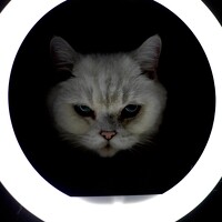 Портрет фотографа (аватар) Максим Владимирович (Евдокимов)