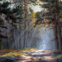 Портрет фотографа (аватар) Балакирев Андрей (Andrey Balakirev)