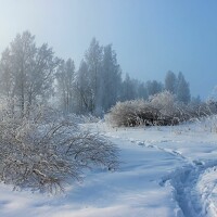 Портрет фотографа (аватар) Наталья Юрова