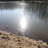 Фотография Grigory Gez (Grigory Gez) Портрет фотографа (аватар) Grigory Gez (Grigory Gez)