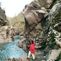 Портрет фотографа (аватар) Наталья Алексеева