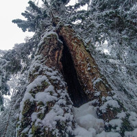 Портрет фотографа (аватар) Шатров Руслан