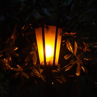 Портрет фотографа (аватар) Viktor Koven