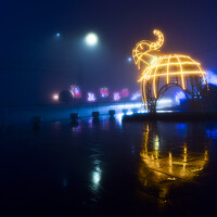 Фотография Игорь Белявцев (Igor White) Портрет фотографа (аватар) Игорь Белявцев (Igor White)