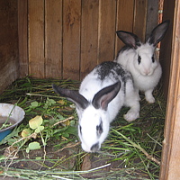 Портрет фотографа (аватар) игорь