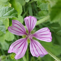 Портрет фотографа (аватар) Joseph