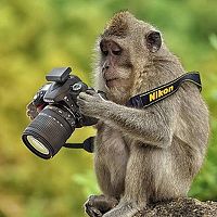 Портрет фотографа (аватар) Aleak Joshman