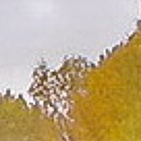 Портрет фотографа (аватар) Вячеслав Рощин