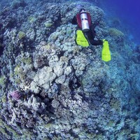 Портрет фотографа (аватар) Nataliya (Nataliya Surzhanikova)