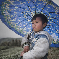 Портрет фотографа (аватар) LYU CHENXING (CHENXING LYU)