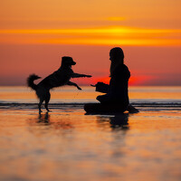 Портрет фотографа (аватар) Johanna Mehrke