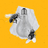 Портрет фотографа (аватар) Яна Кащенко (Yana Kashchenko)