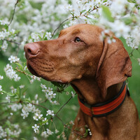 Портрет фотографа (аватар) Татьяна