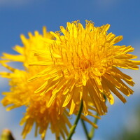 Фотография J McCoy Портрет фотографа (аватар) J McCoy