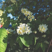 Фотография Серафима Футлярова (Serafima Futliarova) Портрет фотографа (аватар) Серафима Футлярова (Serafima Futliarova)