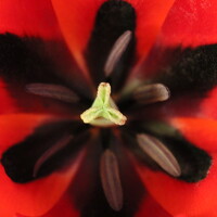 Портрет фотографа (аватар) Empratour Pouya