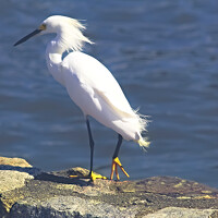 Фотография Márcia Cristina Machado (Márcia Cristina da Silva Machado) Портрет фотографа (аватар) Márcia Cristina Machado (Márcia Cristina da Silva Machado)
