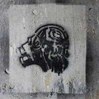 Портрет фотографа (аватар) les Guy