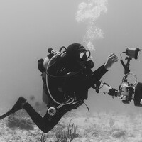 Портрет фотографа (аватар) Damian Almua