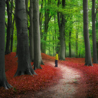 Портрет фотографа (аватар) Lusiyuan-BuBuSy (Lusiyuan)