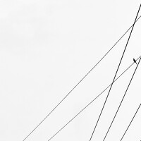 Портрет фотографа (аватар) @TG