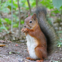 Фотография Юлиана Иванова (Yuliana Ivanova) Портрет фотографа (аватар) Юлиана Иванова (Yuliana Ivanova)