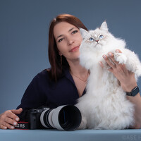 Портрет фотографа (аватар) Балих Татьяна (Tatiana Balikh)