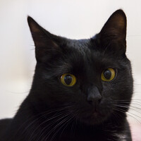 Портрет фотографа (аватар) Sergei Kuznetsov