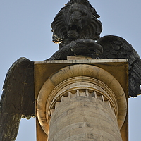 Портрет фотографа (аватар) ruijcca