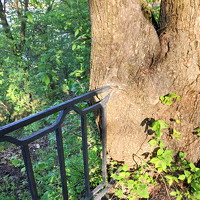 Портрет фотографа (аватар) Kostiantyn