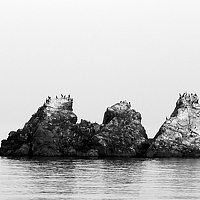 Портрет фотографа (аватар) Irina