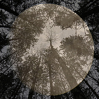 Портрет фотографа (аватар) Zeff