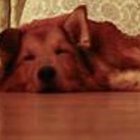 Портрет фотографа (аватар) Герман