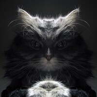 Портрет фотографа (аватар) Максим Кирсанов (MAKSIM KIRSANOV)