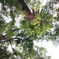 Портрет фотографа (аватар) Thyla Jo