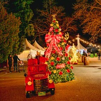 Фотография Iv Ivanova (Ивелина Иванова) Портрет фотографа (аватар) Iv Ivanova (Ивелина Иванова)